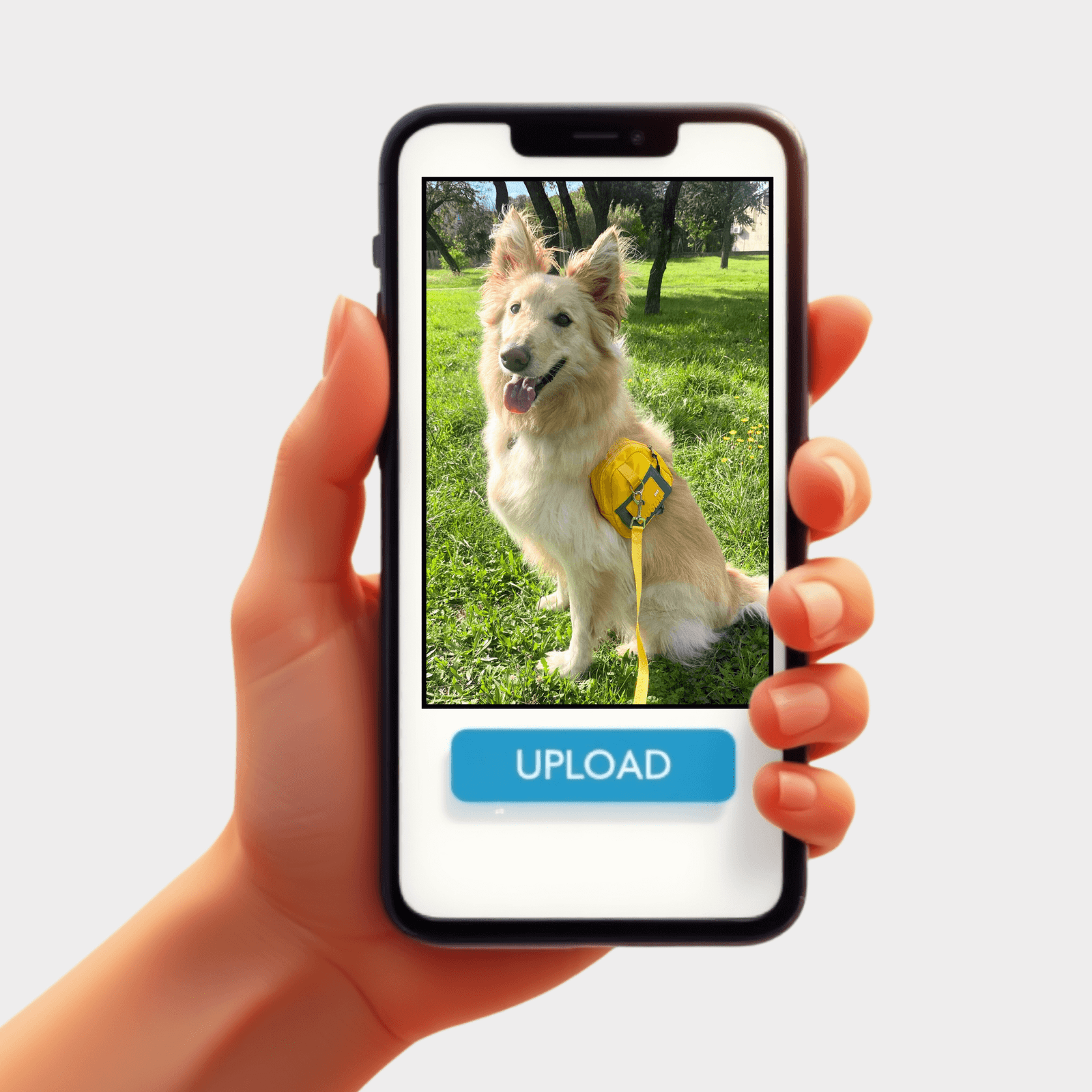 PEOPLE AMAZON CANVAS (2025) (8) copy 2