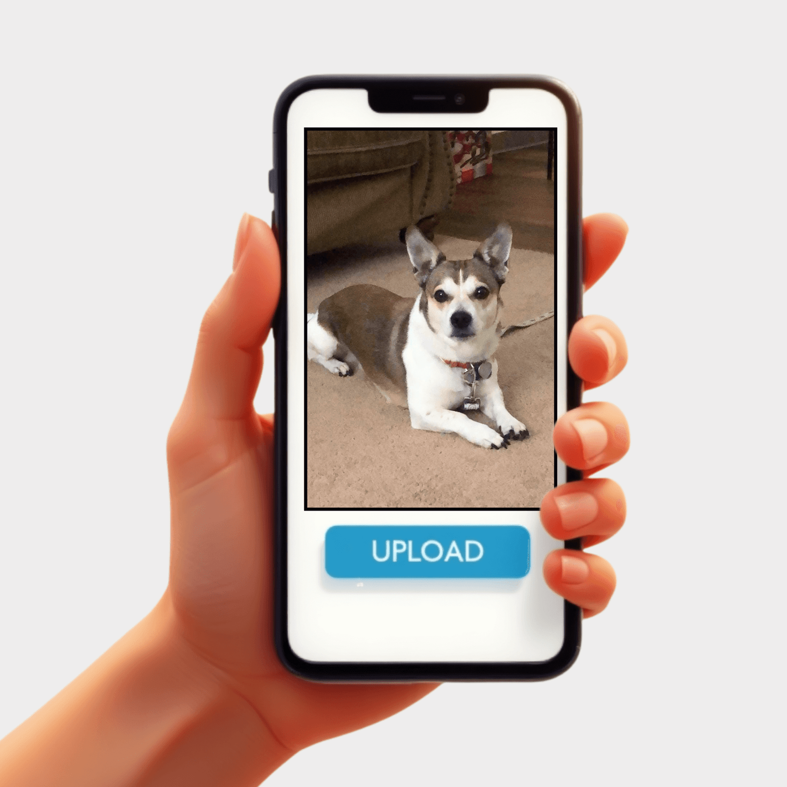 PEOPLE AMAZON CANVAS (2025) (8) copy 3